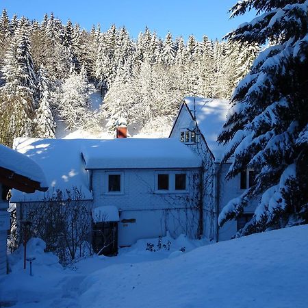 Ferienwohnung Bauer Alter Hammer Schmiedefeld am Rennsteig Dış mekan fotoğraf